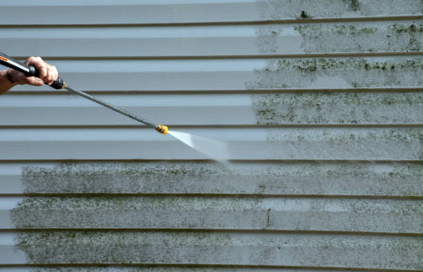Best House Exterior Washing  in Riverse, ID